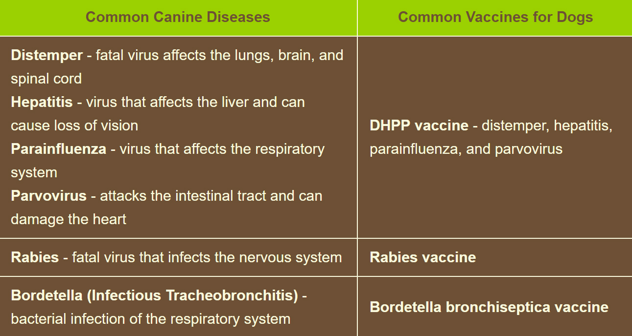 Cat Vaccination Schedule Chart