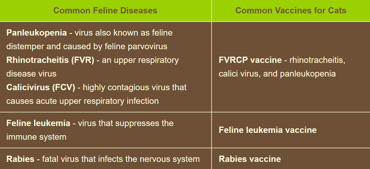 Feline Disease Chart