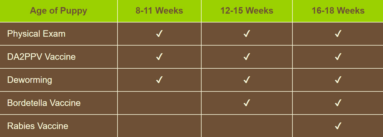 Puppy Vax Schedule Chart