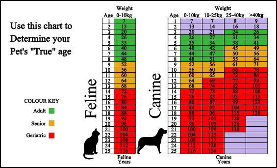 Citrus Vet Clinic - Surveillance Screening Chart