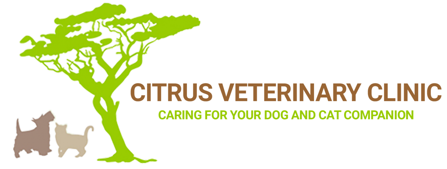 Citrus Vet Clinic Logo - Click to Return to Home Page