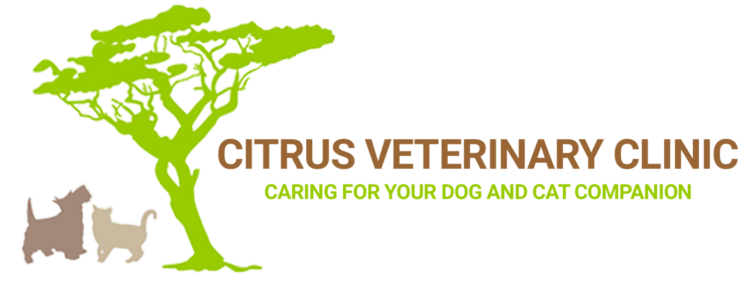 About – Empire Vet Care – Veterinary Services