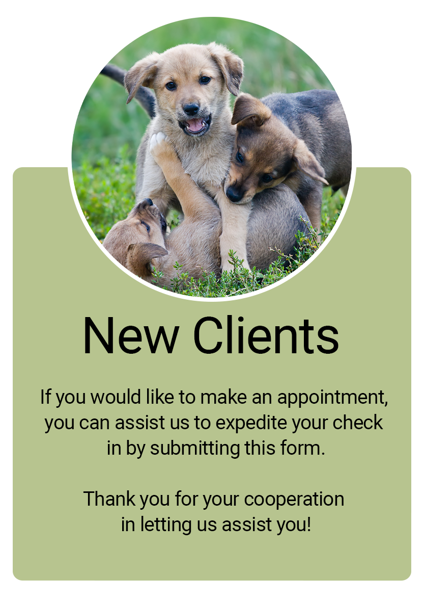 New Clients Click Here