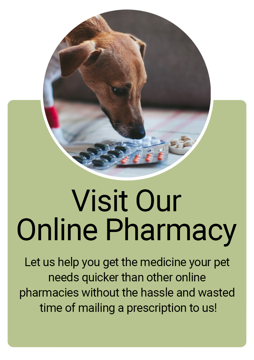 Online Pharmacy Information