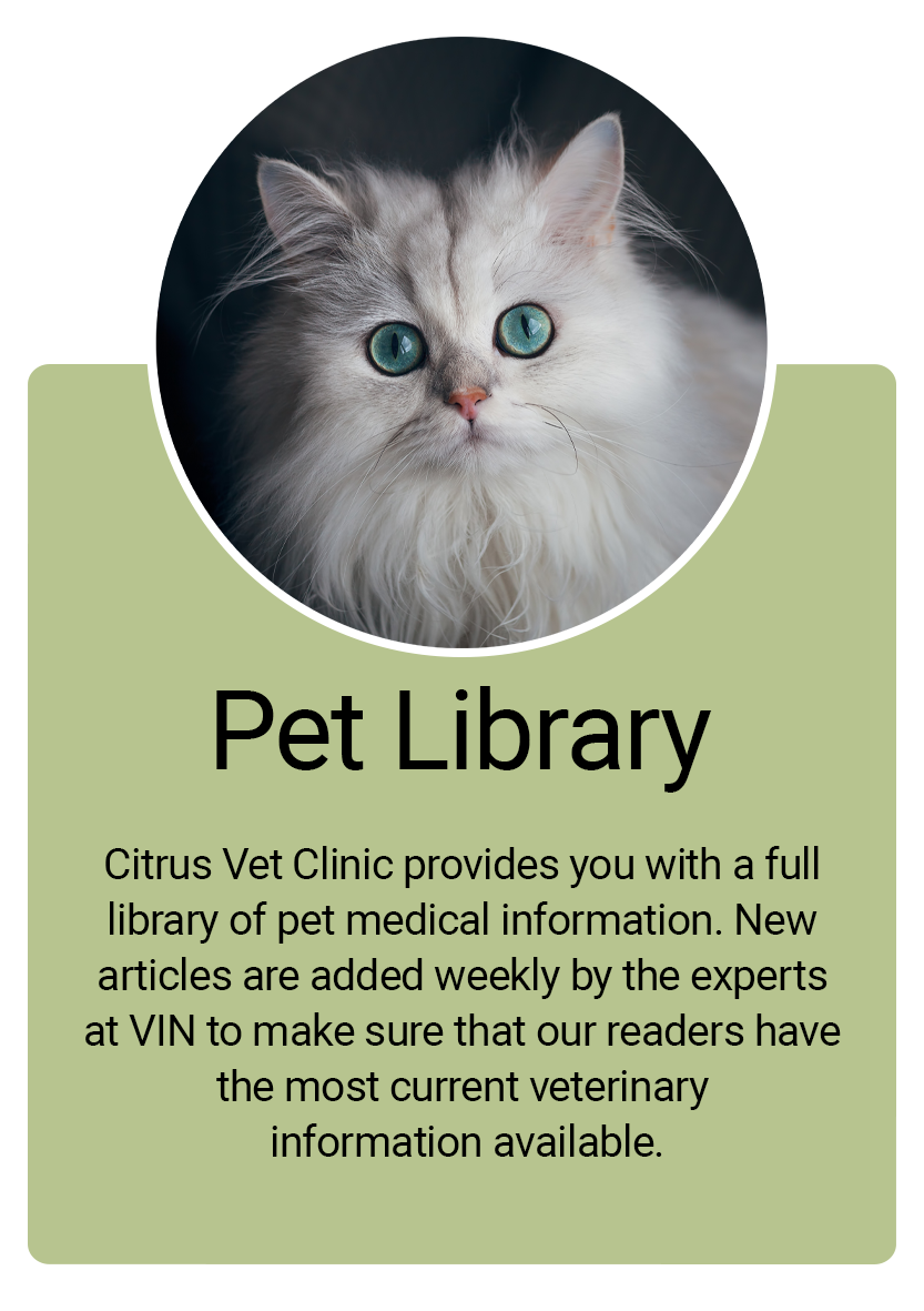 Pet Library Information